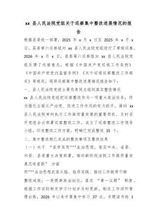 县人民法院党组关于巡察集中整改进展情况的报告