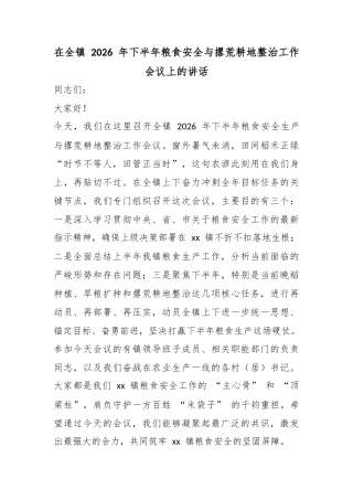 在全镇2026年下半年粮食安全与撂荒耕地整治工作会议上的讲话