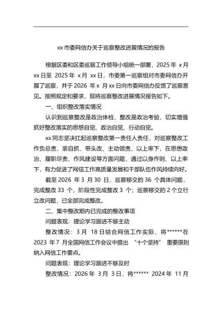 市委网信办关于巡察整改进展情况的报告
