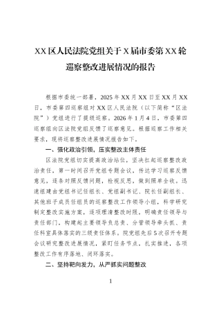 XX区人民法院党组关于X届市委第XX轮巡察整改进展情况的报告