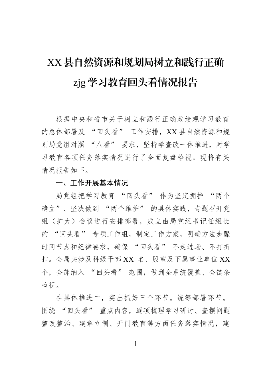 XX县自然资源和规划局树立和践行正确zjg学习教育回头看情况报告_第1页