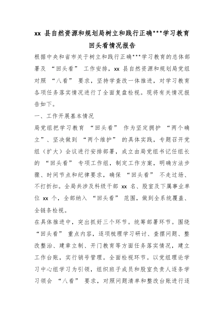 县自然资源和规划局树立和践行正确政绩观学习教育回头看情况报告_第1页