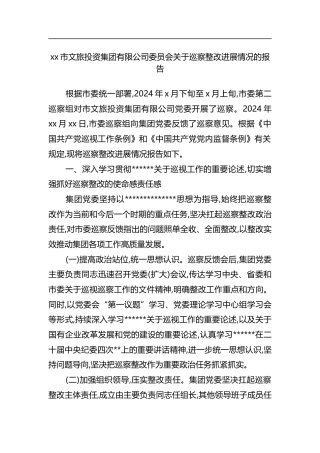 市文旅投资集团有限公司委员会关于巡察整改进展情况的报告