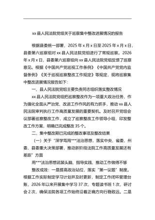 县人民法院党组关于巡察集中整改进展情况的报告