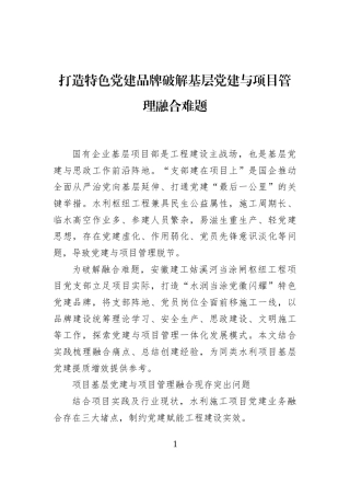 打造特色党建品牌破解基层党建与项目管理融合难题