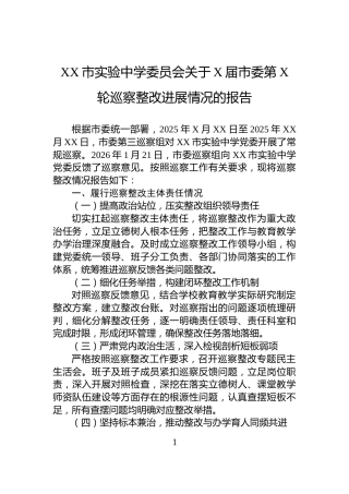 XX市实验中学委员会关于X届市委第X轮巡察整改进展情况的报告