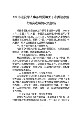 XX市退役军人事务局党组关于市委巡察整改落实进展情况的报告