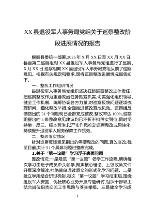XX县退役军人事务局党组关于巡察整改阶段进展情况的报告