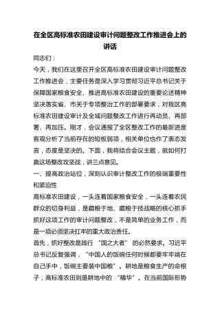 在全区高标准农田建设审计问题整改工作推进会上的讲话
