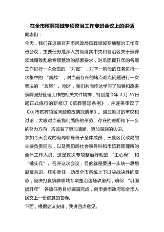 在全市殡葬领域专项整治工作专班会议上的讲话