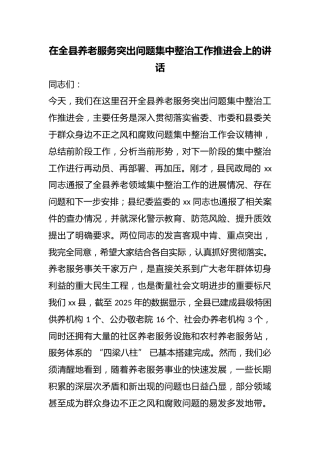 在全县养老服务突出问题集中整治工作推进会上的讲话
