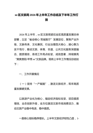 区文旅局2026年上半年工作总结及下半年工作打算