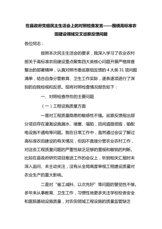 在县政府党组民主生活会上的对照检查发言