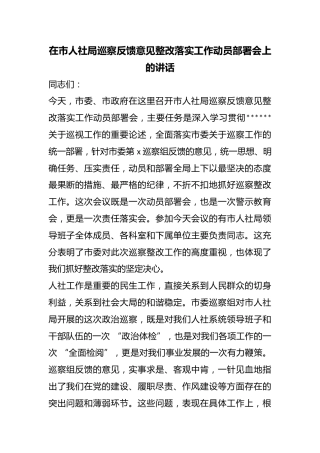 在市人社局巡察反馈意见整改落实工作动员部署会上的讲话