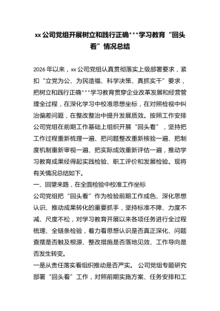 公司党组开展树立和践行正确政绩观学习教育“回头看”情况总结