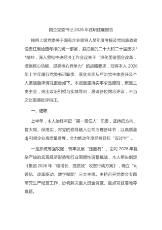 国企党委书记2026年述职述廉报告