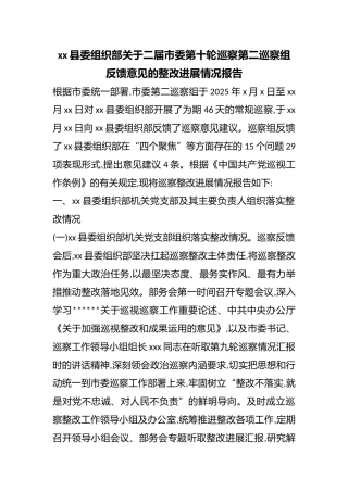 县委组织部关于二届市委第十轮巡察第二巡察组反馈意见的整改进展情况报告