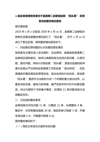 X县应急管理局党委关于县委第二巡察组巡察“回头看”反馈意见的整改情况报告