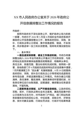 XX市人民政府办公室关于2026年政府公开信息摸排整治工作情况的报告