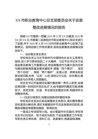 XX市职业教育中心总支部委员会关于巡察整改进展情况的报告