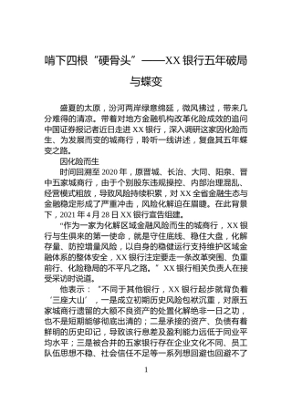 啃下四根“硬骨头”——XX银行五年破局与蝶变