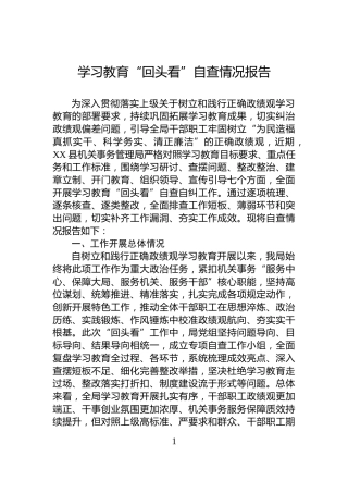 学习教育“回头看”自查情况报告