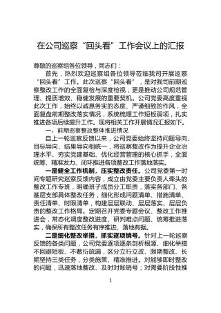 在公司巡察“回头看”工作会议上的汇报
