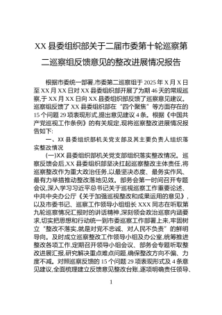 XX县委组织部关于二届市委第十轮巡察第二巡察组反馈意见的整改进展情况报告