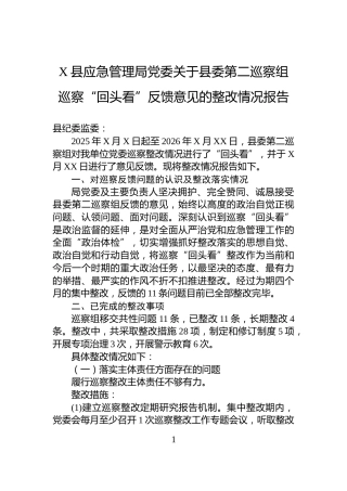 X县应急管理局党委关于县委第二巡察组巡察“回头看”反馈意见的整改情况报告