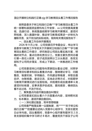 国企开展树立和践行正确zjg学习教育回头看工作情况报告