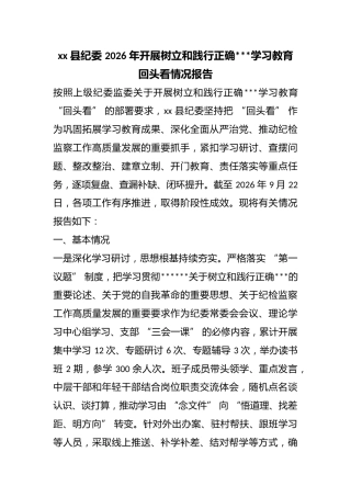 县纪委2026年开展树立和践行正确政绩观学习教育回头看情况报告