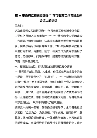 在市委树立和践行正确政绩观学习教育工作专班全体会议上的讲话