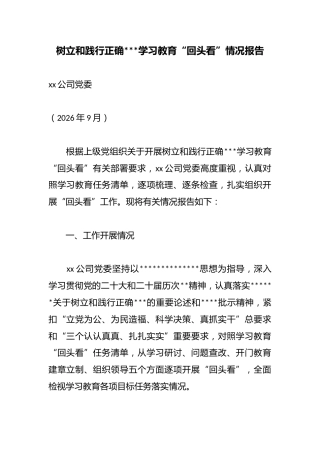 树立和践行正确政绩观学习教育“回头看”情况报告