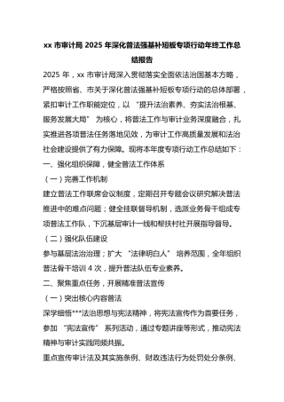 市审计局2025年深化普法强基补短板专项行动年终工作总结报告