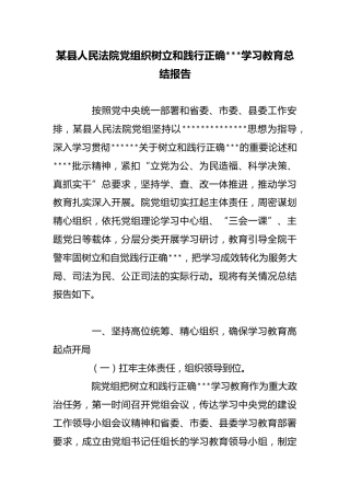 某县人民法院党组织树立和践行正确政绩观学习教育总结报告