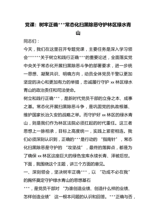 党课：树牢正确政绩观常态化扫黑除恶守护林区绿水青山