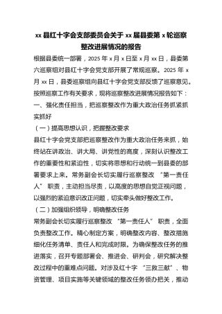 县红十字会支部委员会关于届县委第X轮巡察整改进展情况的报告