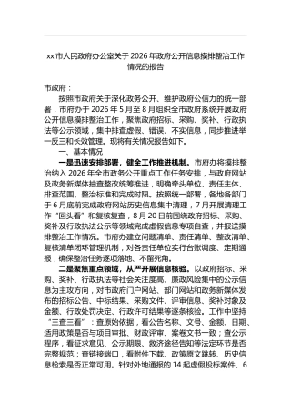 市人民政府办公室关于2026年政府公开信息摸排整治工作情况的报告