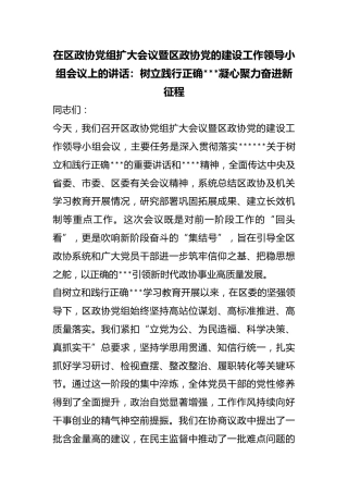 在区政协党组扩大会议暨区政协X的建设工作领导小组会议上的讲话：树立践行正确政绩观凝心聚力奋进新征程