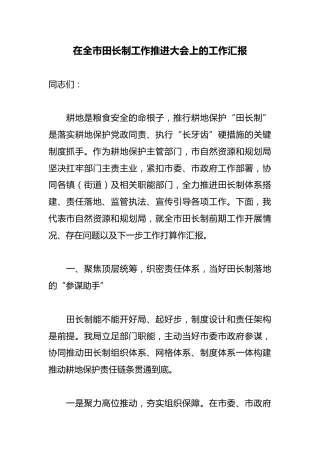 在全市田长制工作推进大会上的工作汇报