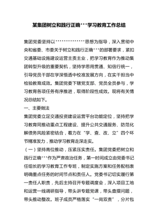 某集团树立和践行正确政绩观学习教育工作总结