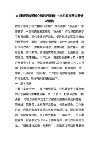 县纪委监委树立和践行正确政绩观学习教育回头看情况报告
