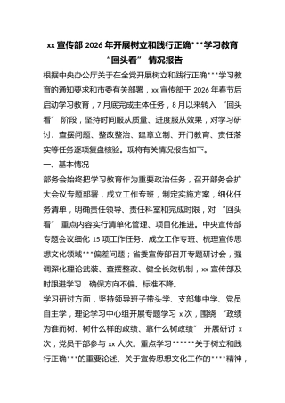 宣传部2026年开展树立和践行正确政绩观学习教育“回头看”情况报告
