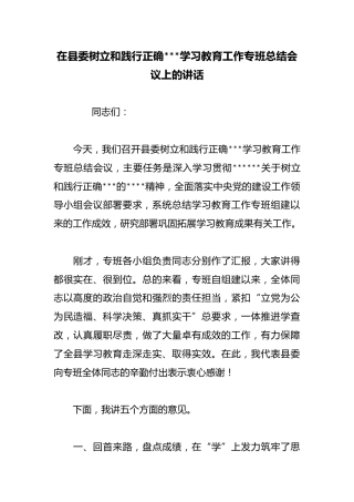 在县委树立和践行正确政绩观学习教育工作专班总结会议上的讲话