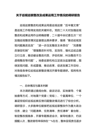 关于巡视巡察整改及成果运用工作情况的调研报告