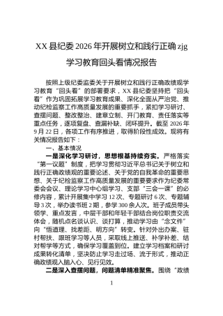 XX县纪委2026年开展树立和践行正确zjg学习教育回头看情况报告