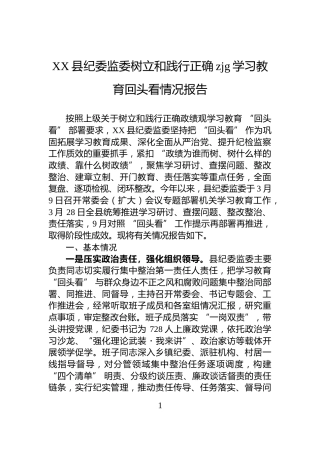 XX县纪委监委树立和践行正确zjg学习教育回头看情况报告
