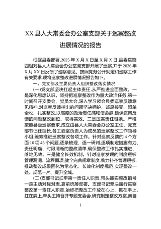 XX县人大常委会办公室支部关于巡察整改进展情况的报告