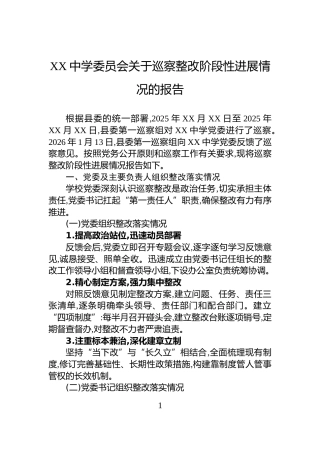 XX中学委员会关于巡察整改阶段性进展情况的报告