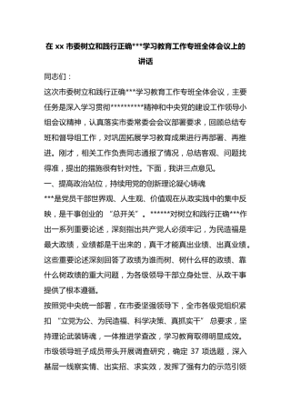 在市委树立和践行正确政绩观学习教育工作专班全体会议上的讲话